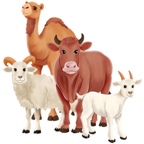 eid-adha